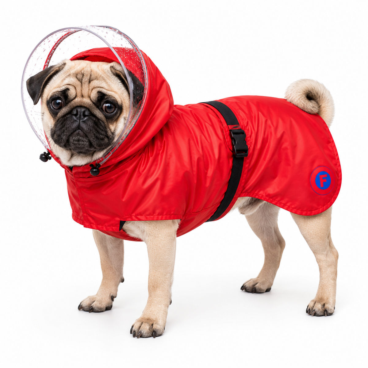 Dog Raincoat with Transparent Hood – Red Daze Edition