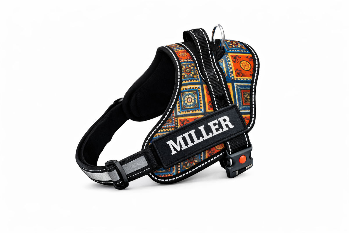 Embroidered Name Dog Harness – Personalised No-Pull, Soft Padded