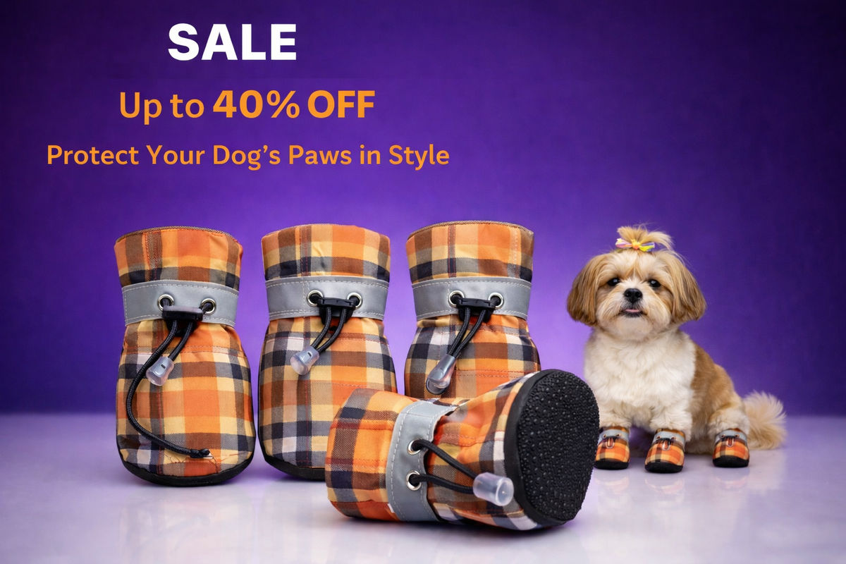 Small Dog Shoes for Shih Tzu, Pug & Toy Breeds – Orange Check