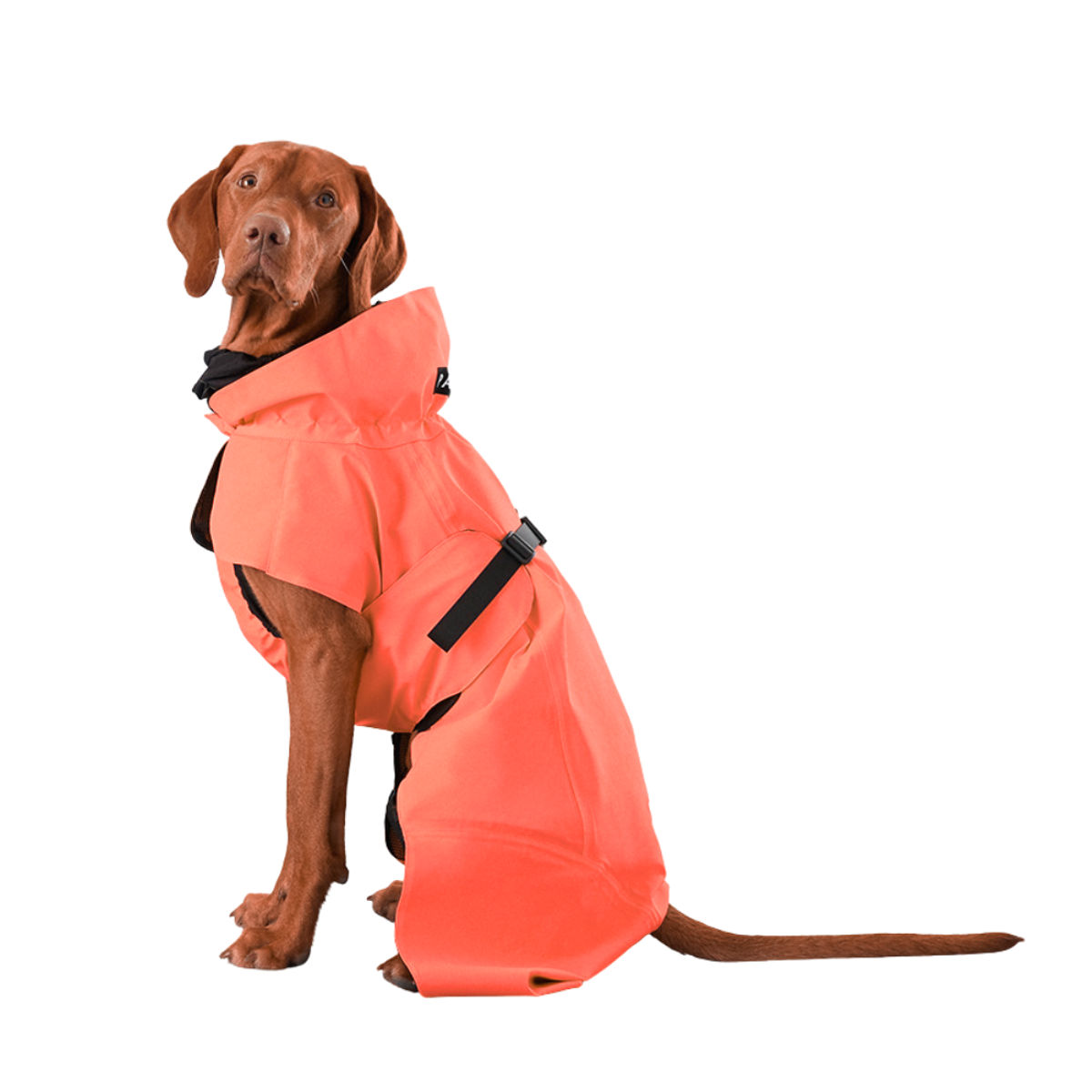 Waterproof Hooded Dog Raincoat with Reflective Strips – Classic Red
