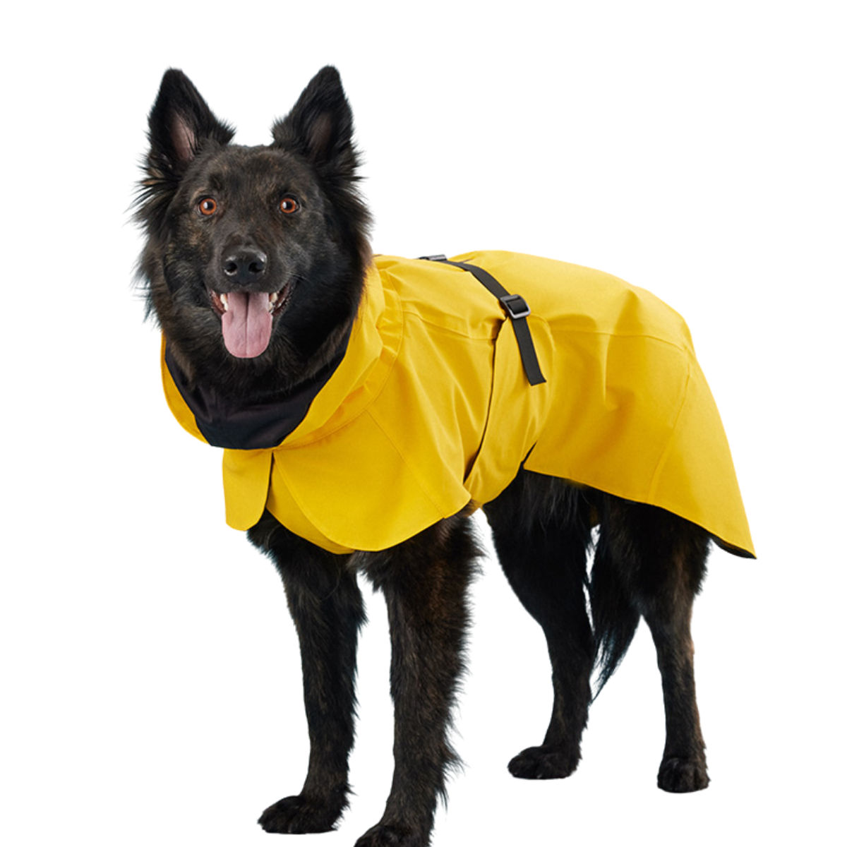 Waterproof Hooded Dog Raincoat with Reflective Strips – Yellow Daze