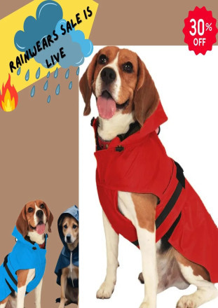 Raincoat for Dogs