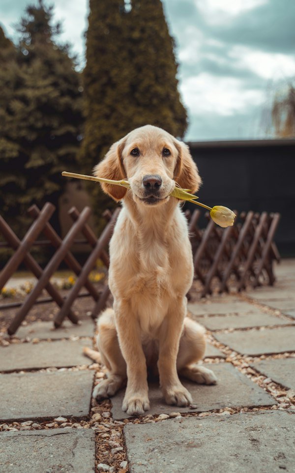 Outdoor Adventures