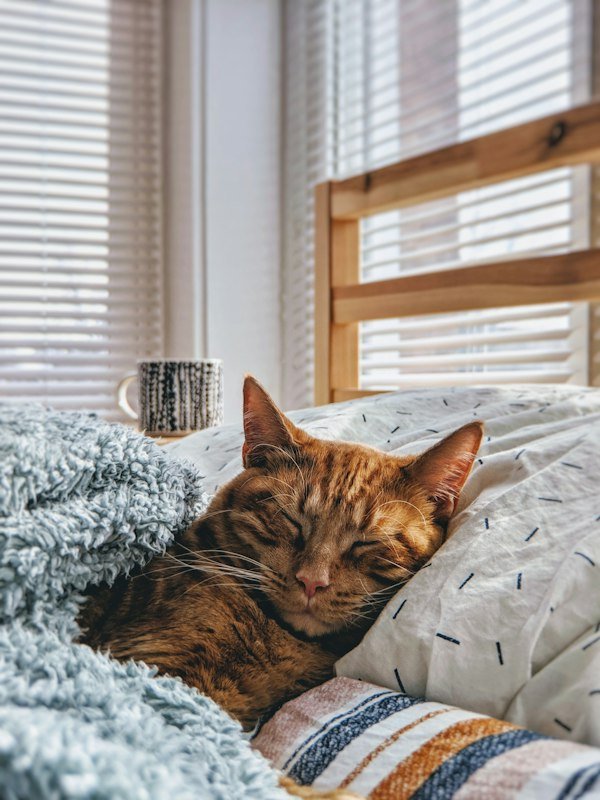 Winter Warmers